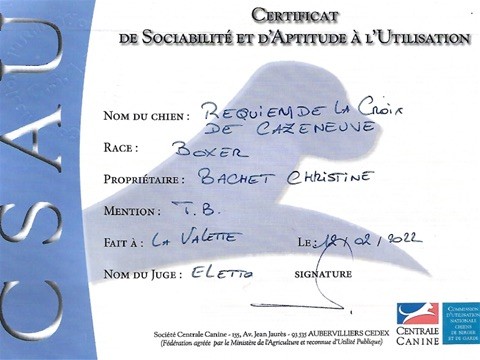 Résultats utilisations